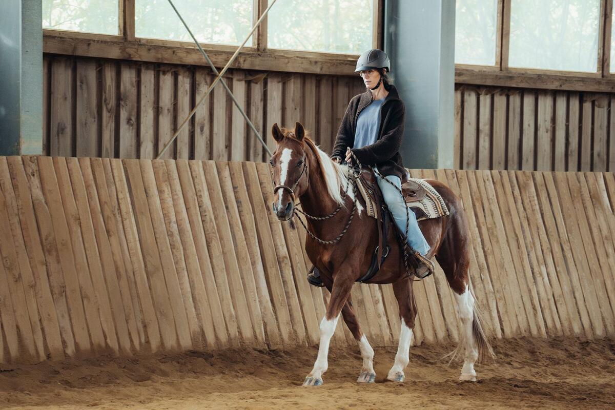 Braver Pinto-Wallach für Familien/therapeutisches Reiten 3