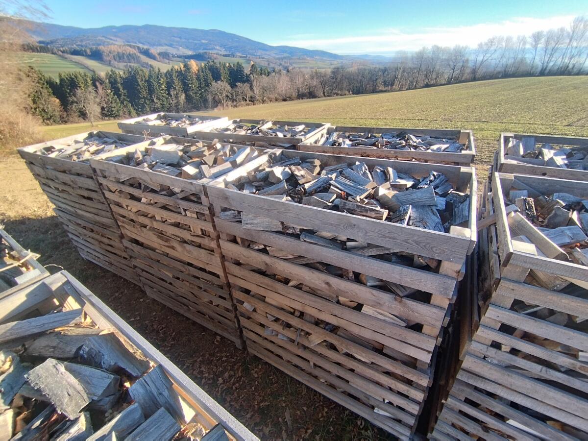 Buchen und Birken Brennholz 1