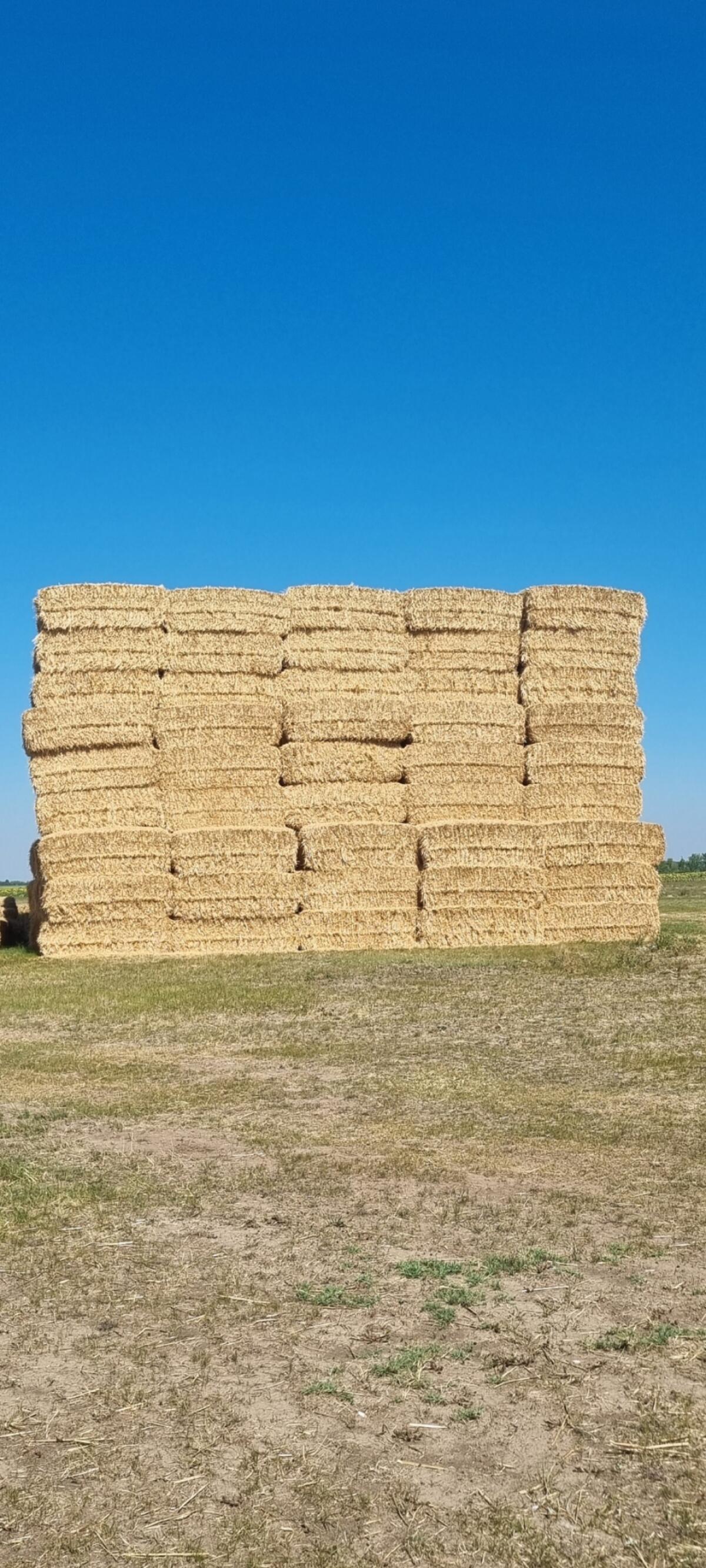 Stroh, Weizenstroh, Gerstenstroh 2