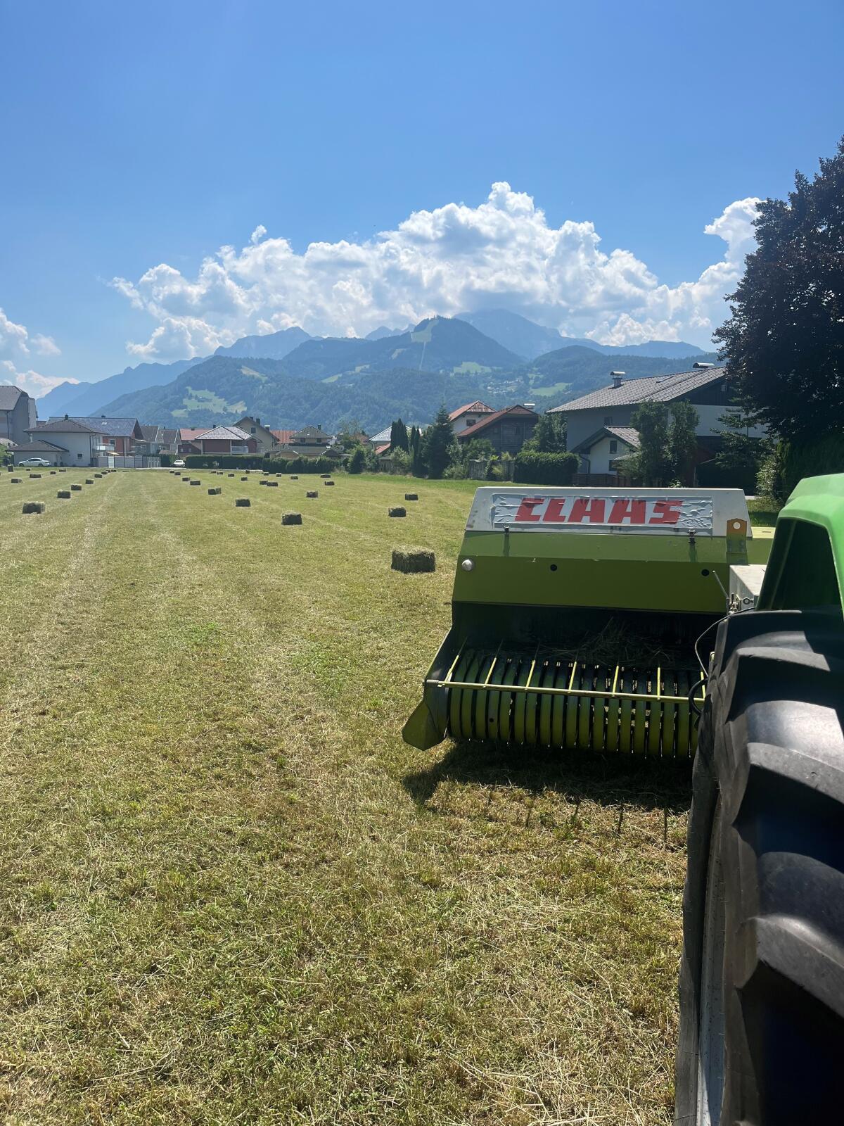 Verkaufe kleine Heuballen 2