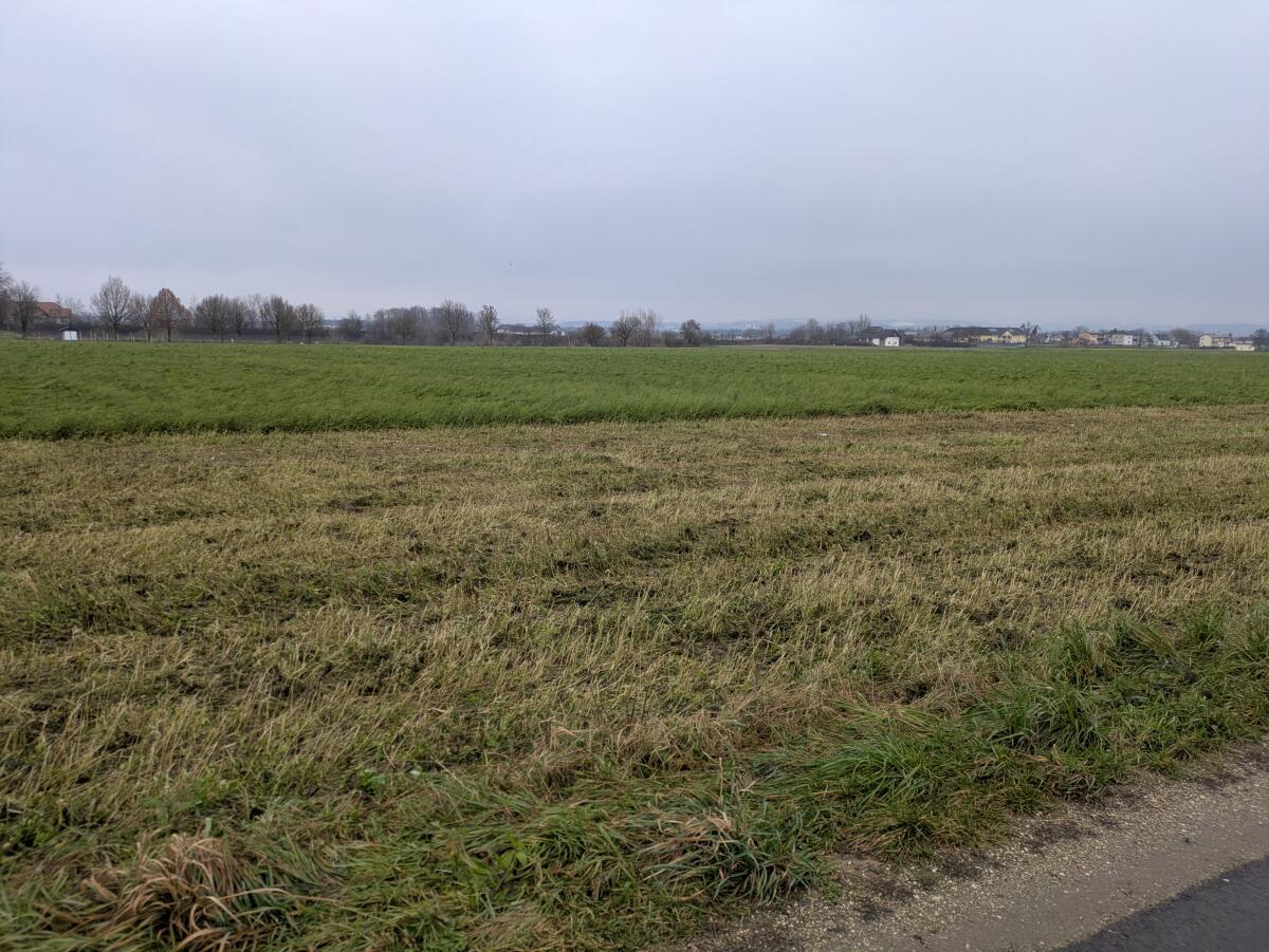 Verkaufe Acker, landwirtschaftliche Nutzfläche 1