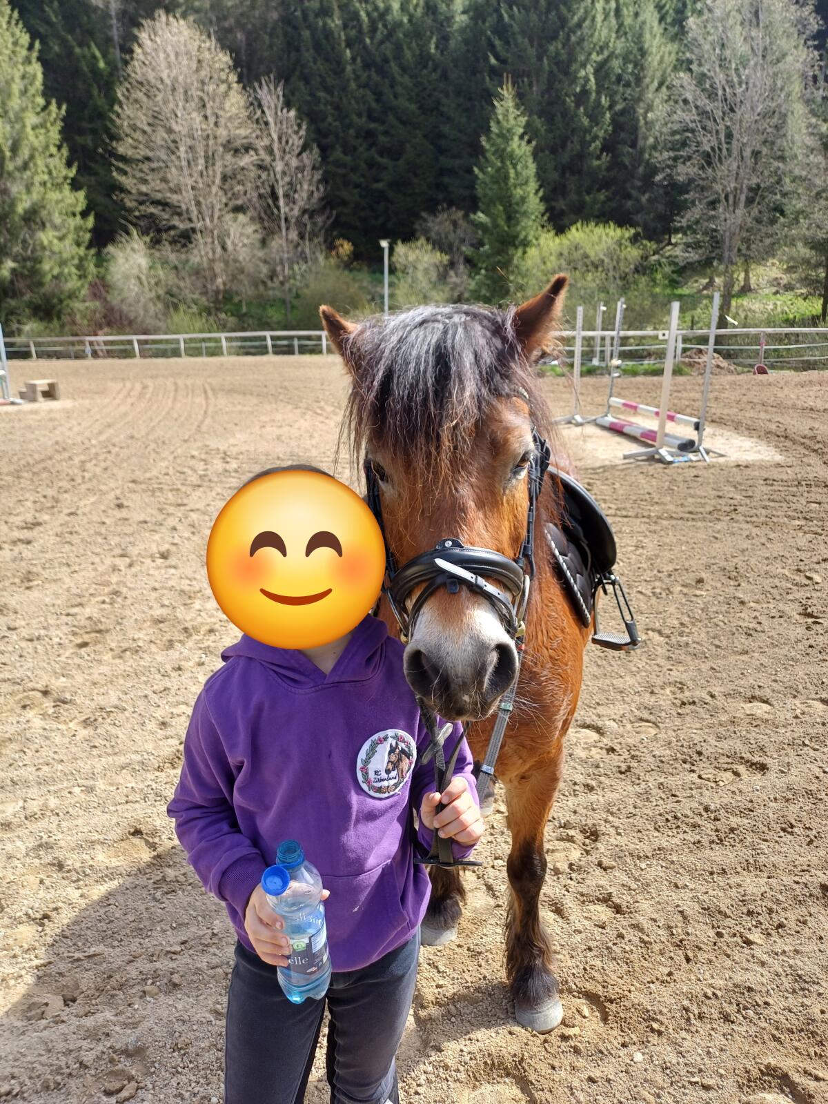 Herzenspony sucht neue Herausforderung 2