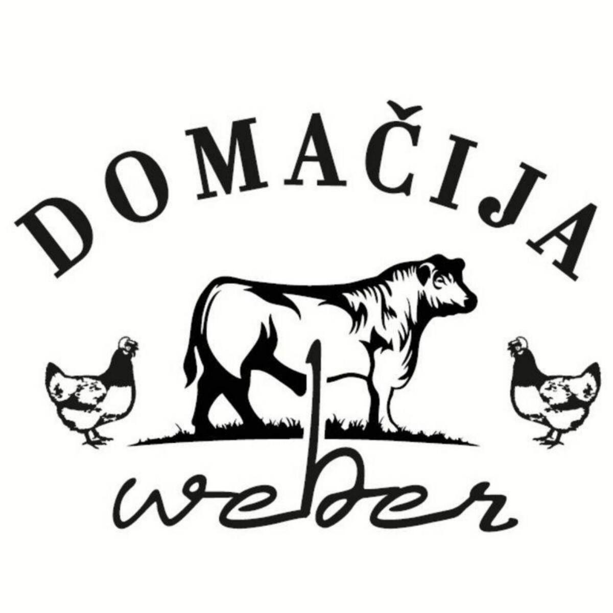 Sulmtaler Hühner und Bruteier 1