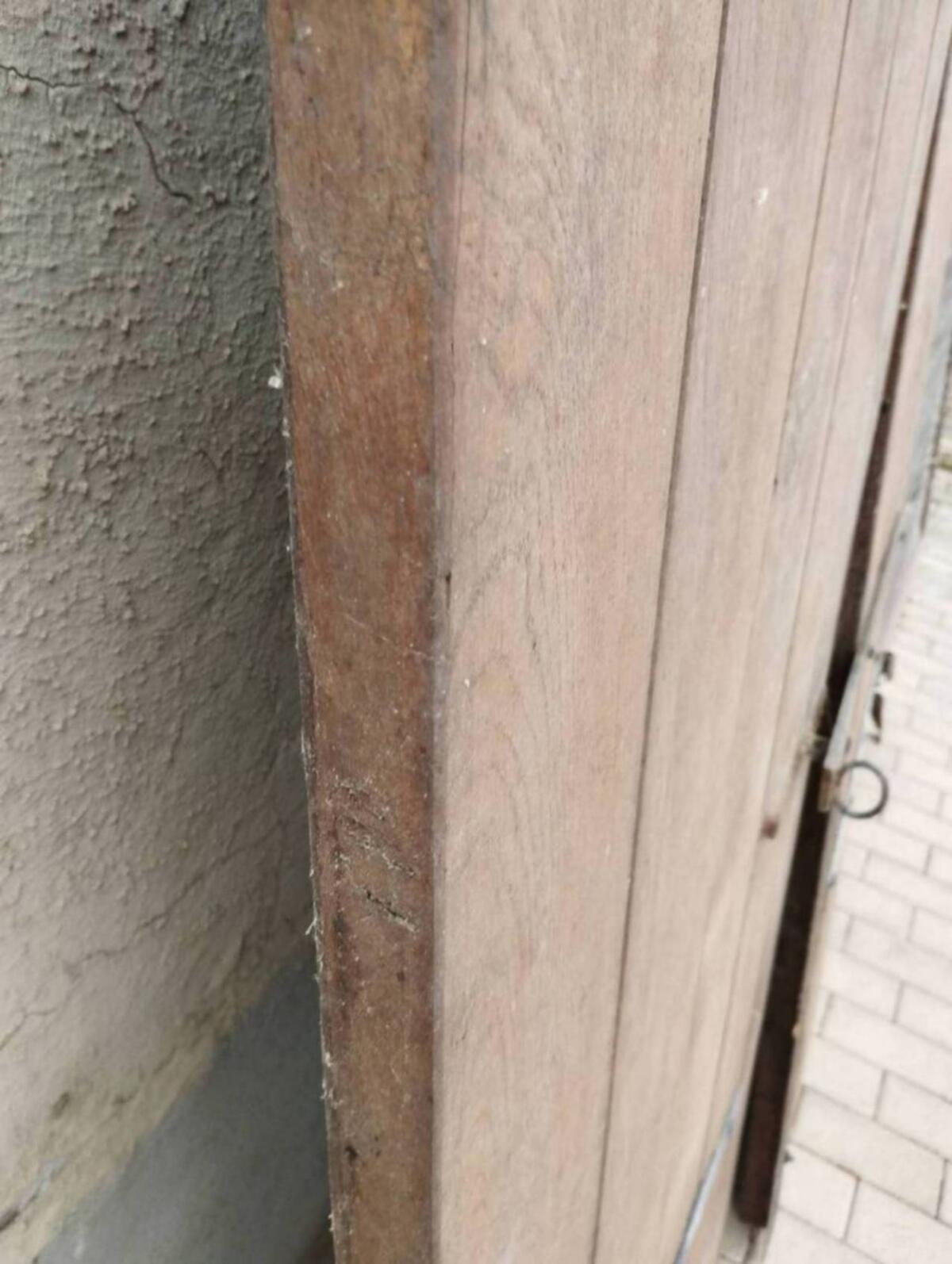 Kellertür aus Eiche 2