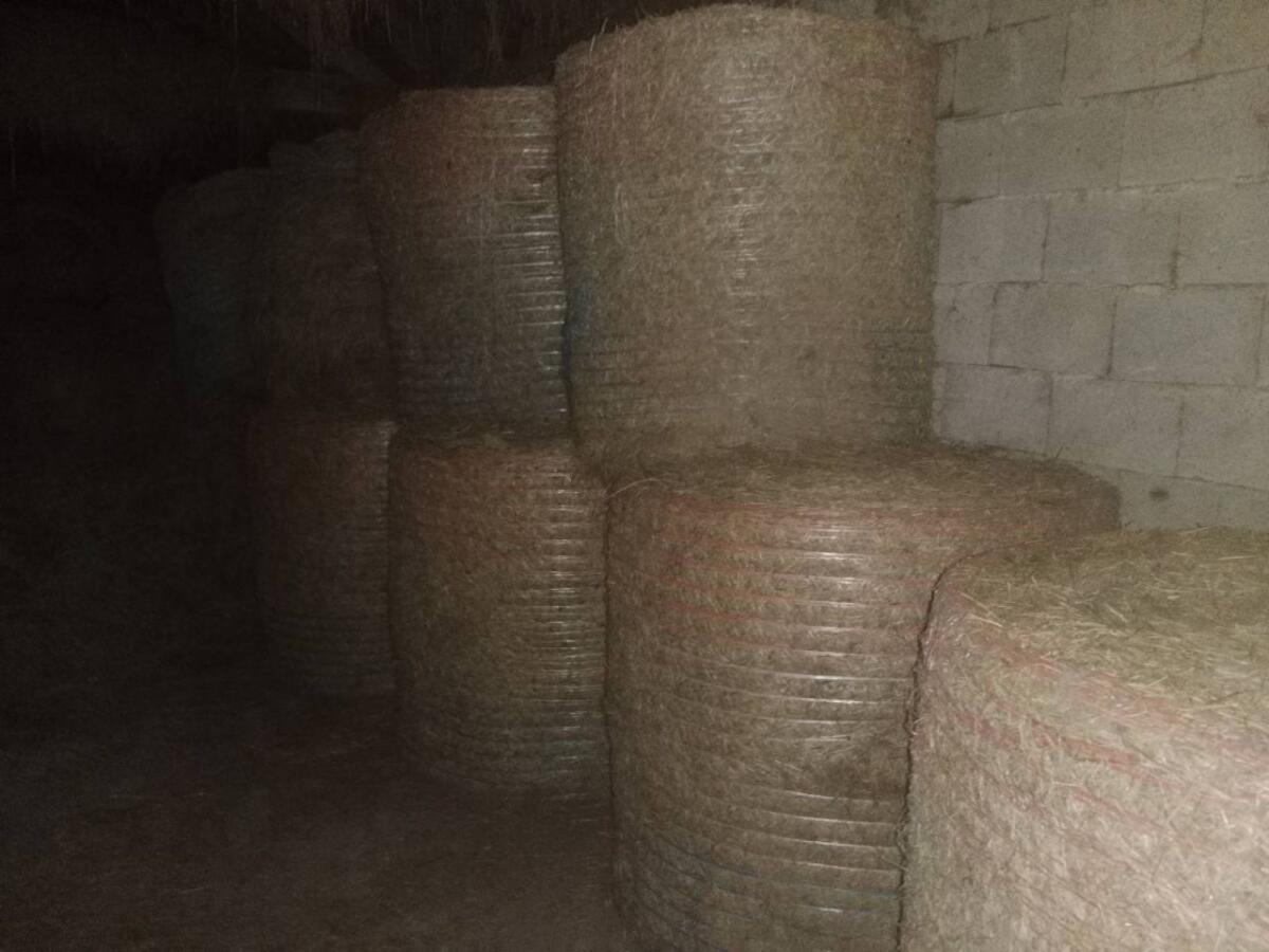 Verkaufe Bio Heuballen 2. Schnitt aus 2024 1