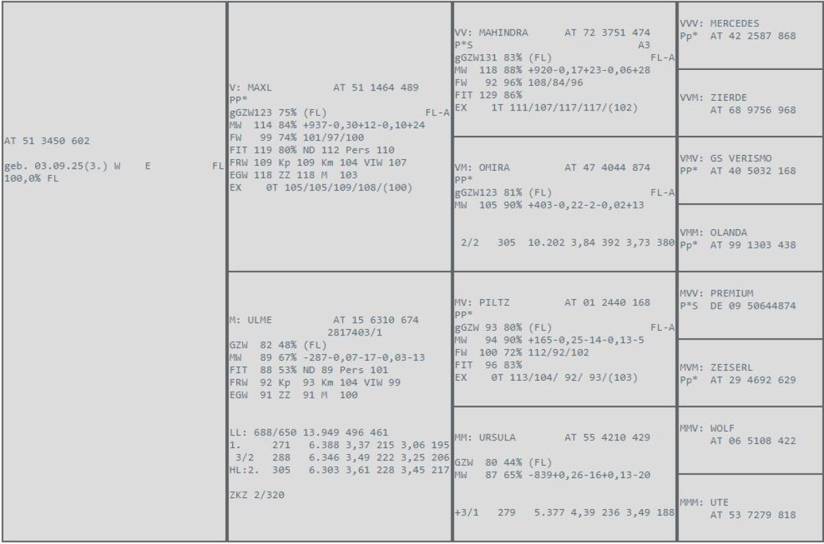 BIO hornlose Fleckvieh Kuhkälber 1