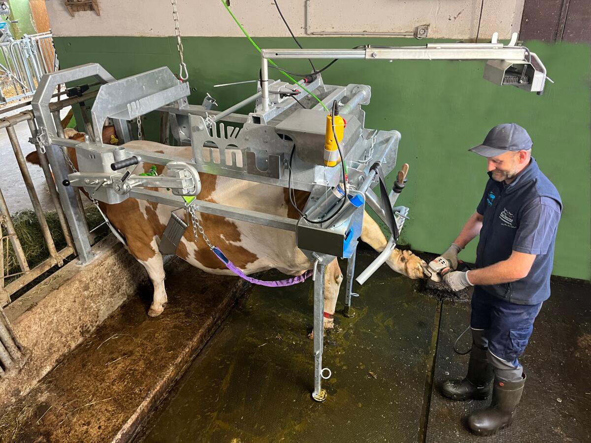 Speed-Fix Klauenpflegestand 3