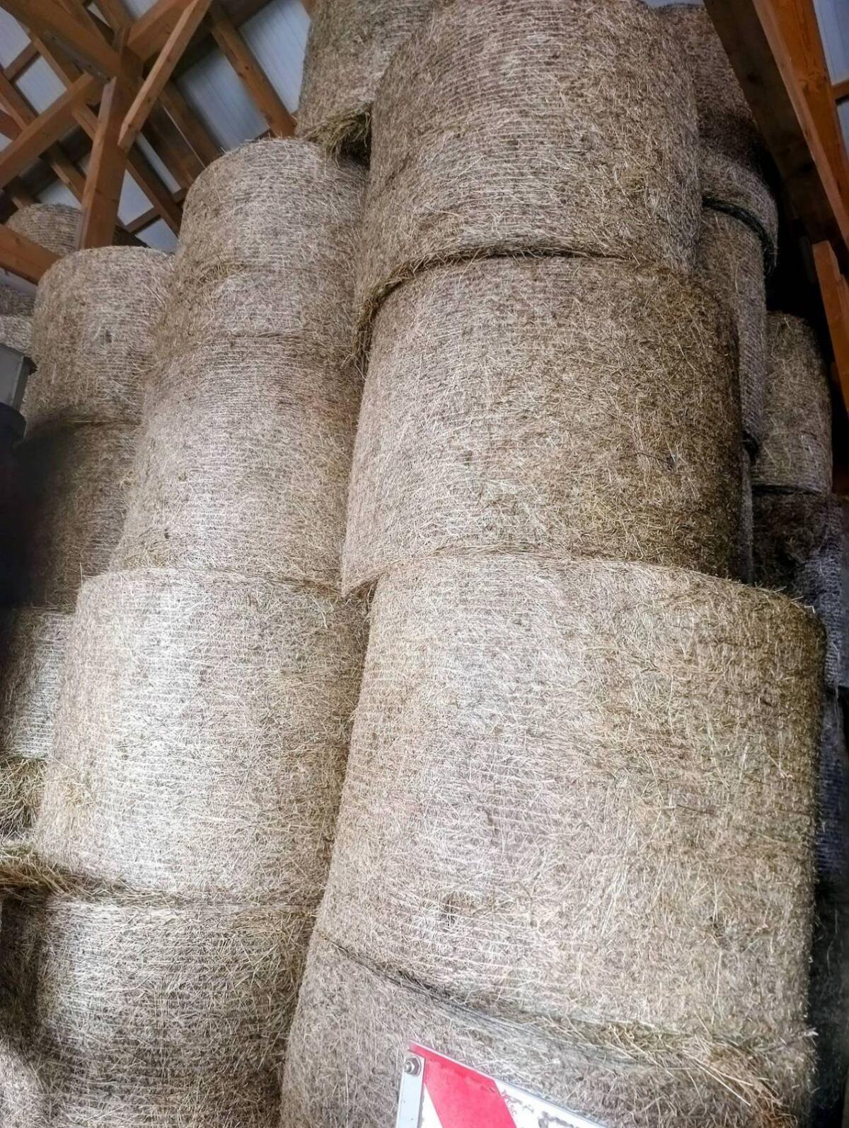 Heuballen 2. Schnitt, Pferdeheu 1