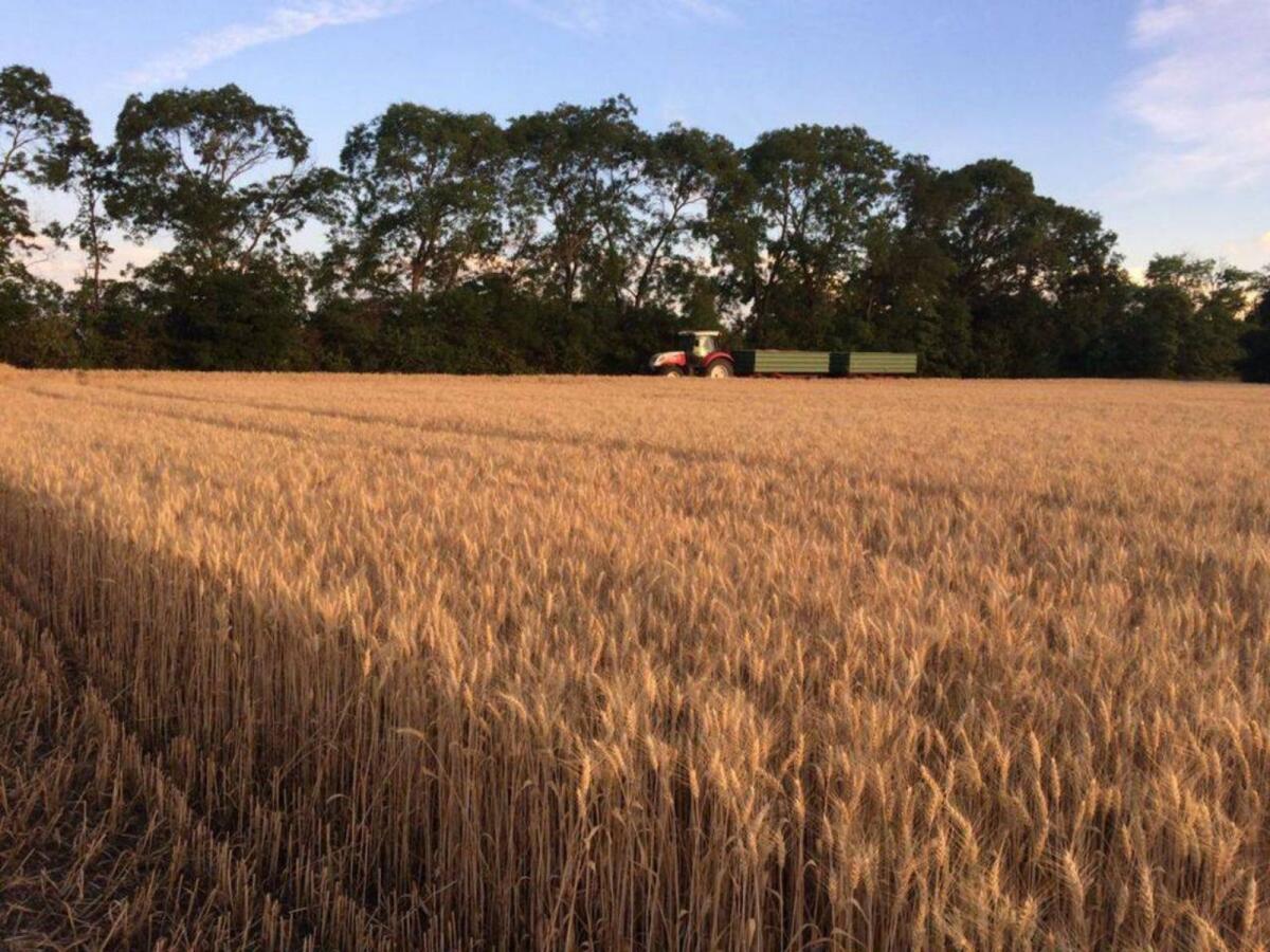 Suche Fläche zum Pachten 1