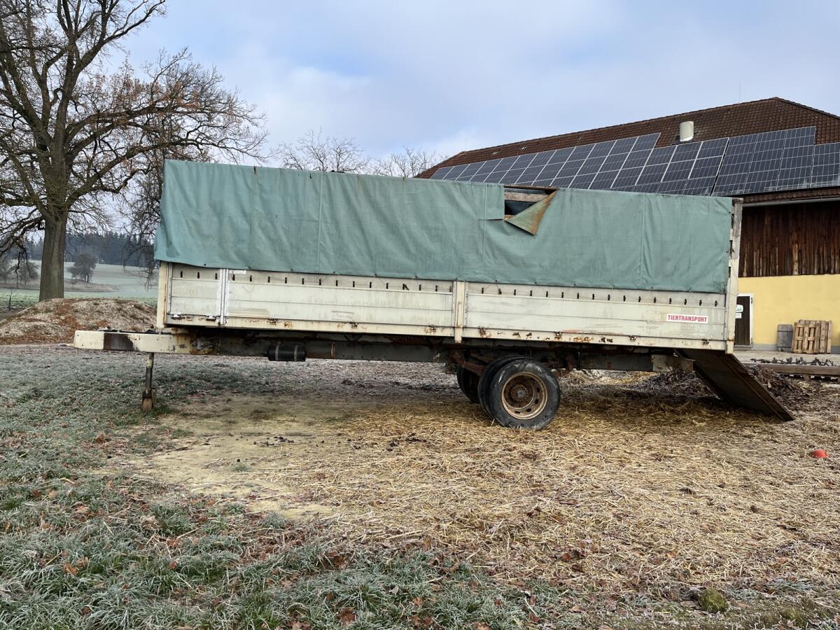 Viehanhänger 1