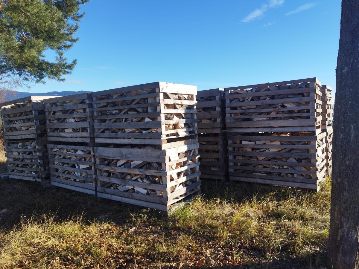 Buchen und Birken Brennholz 3