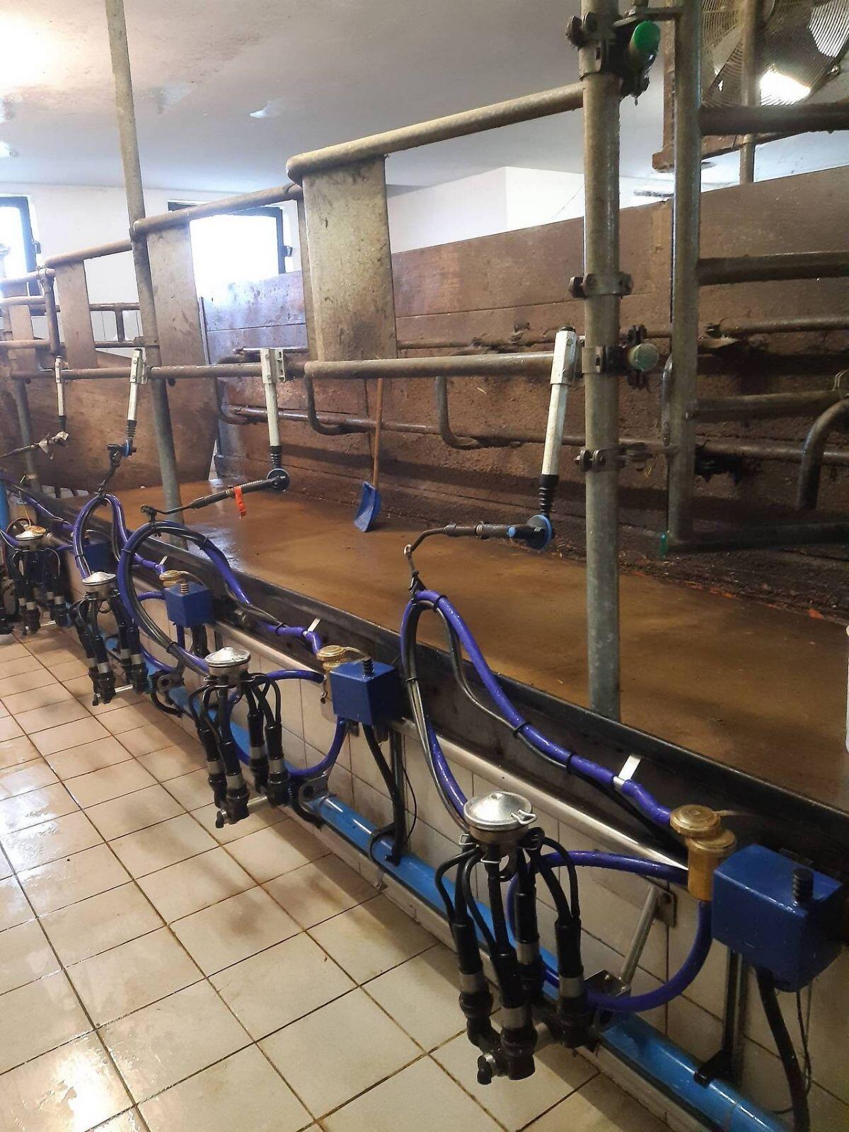 DeLaval Melkanlage 3