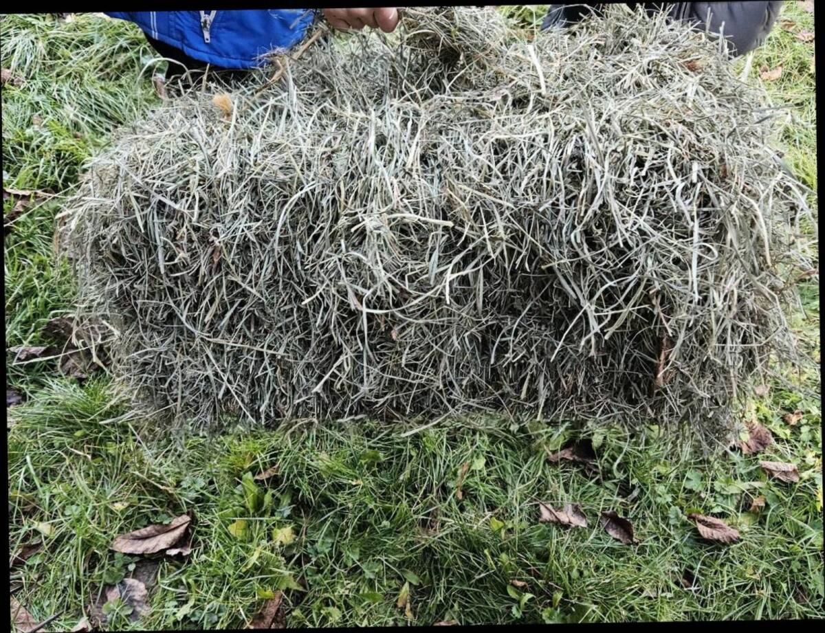 Heu in kleinen Ballen 1