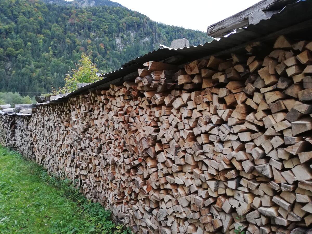 Brennholz Fichte getrocknet 1