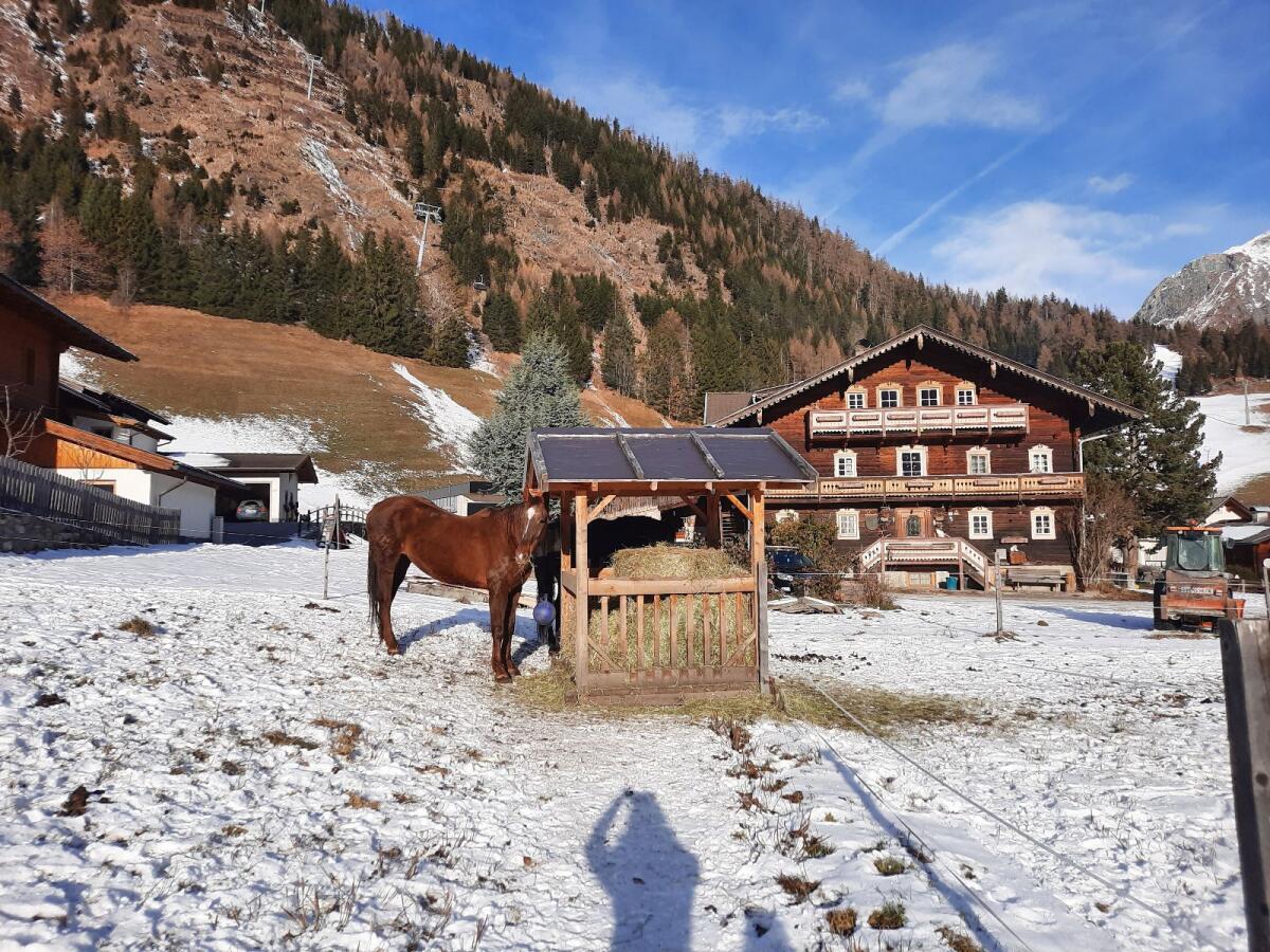Urlaub am Obenfigerhof 3