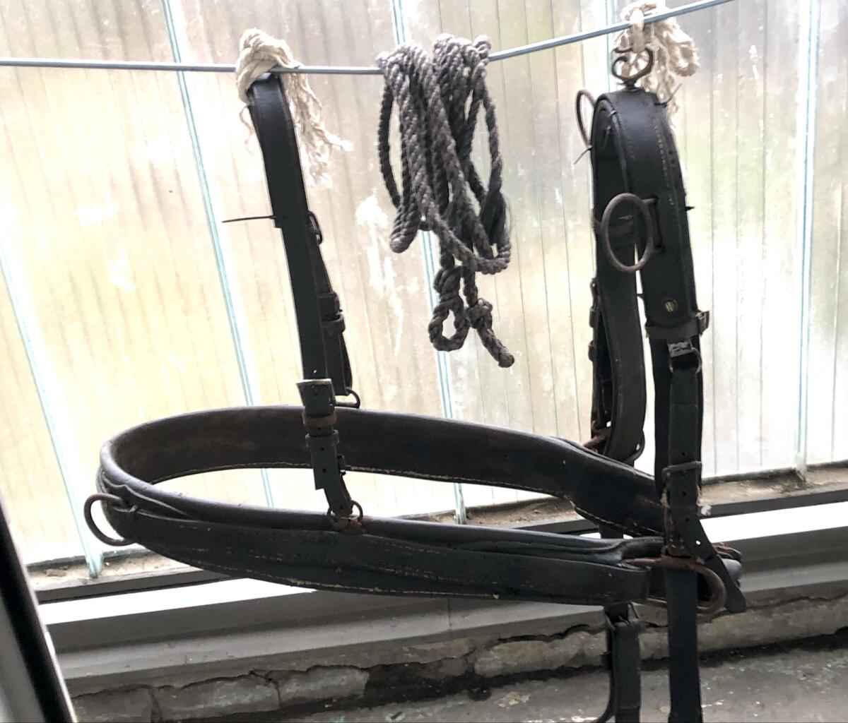 Eladó lófelszerelés 1