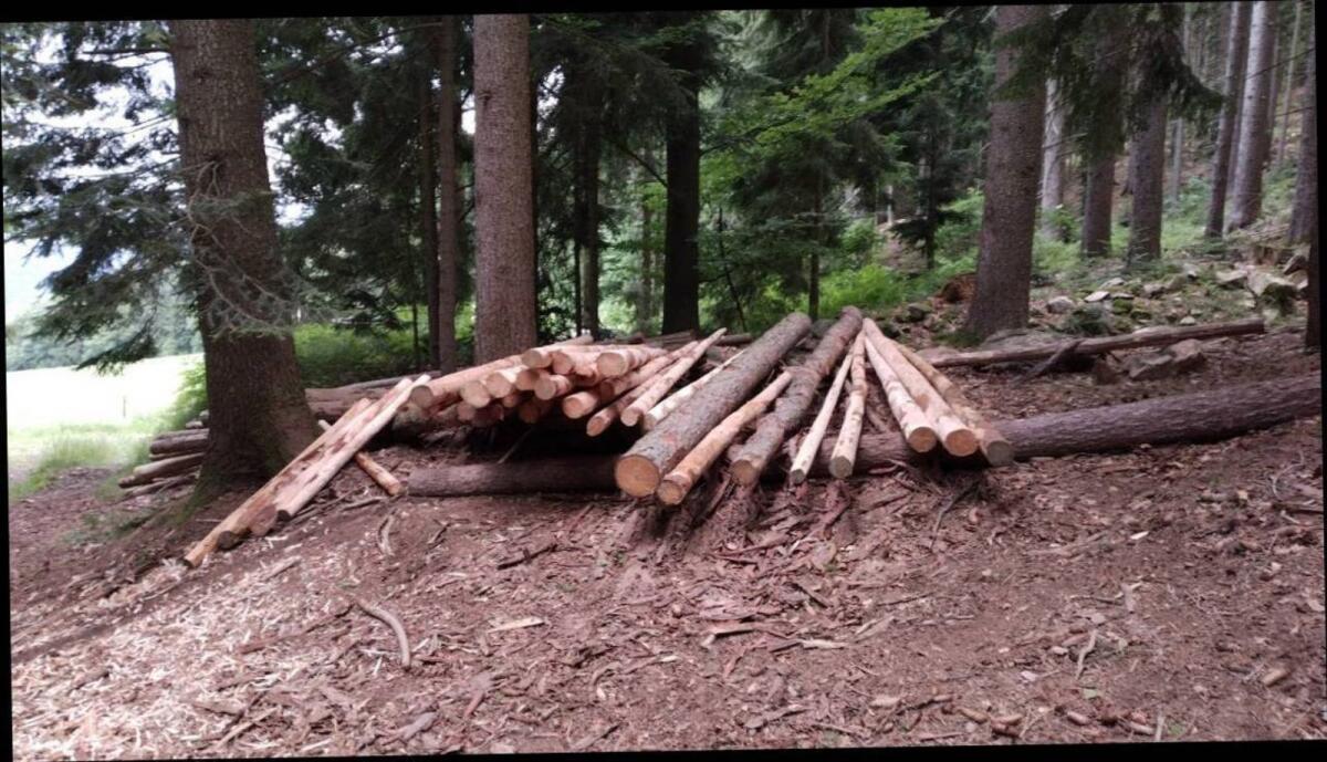 Lärchenpflöcke, Stempel, Pfähle, Stangen 2