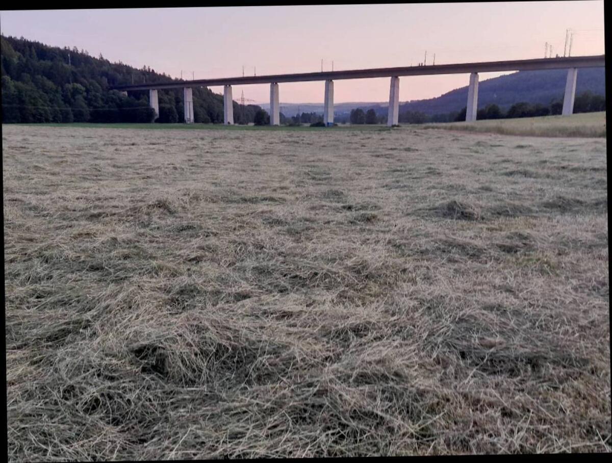 Heuballen Quaderballen Pferdeheu 1