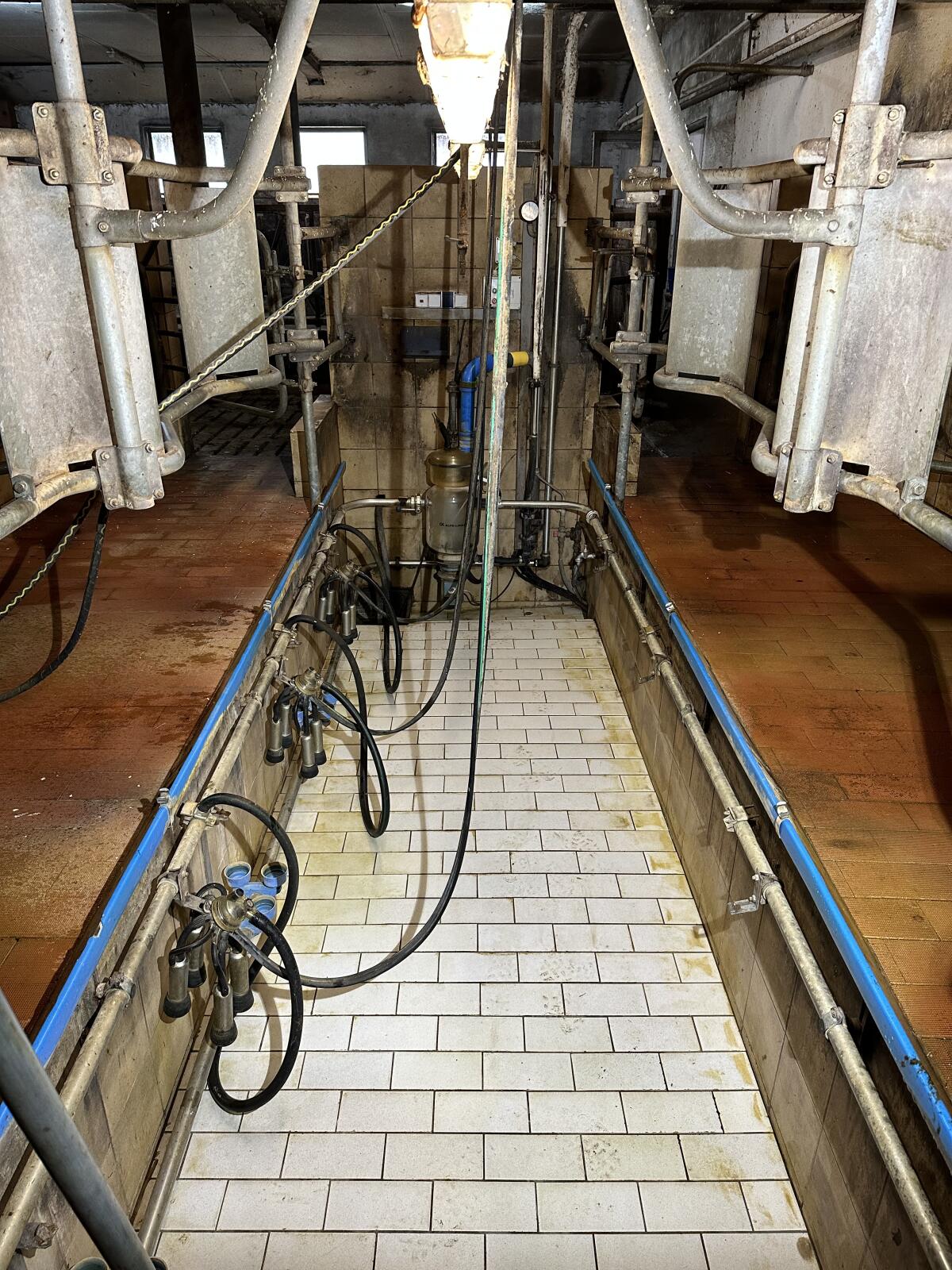 Alfa-Laval Melkstand 1