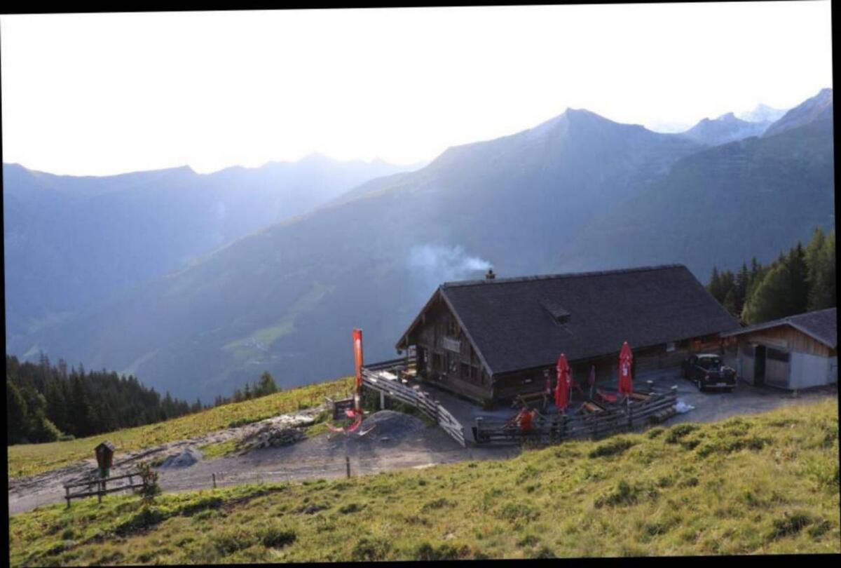 Mithilfe auf der Alm 2