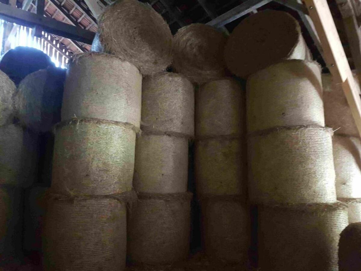 Heurundballen, Wiesenheu, alles muss raus 2