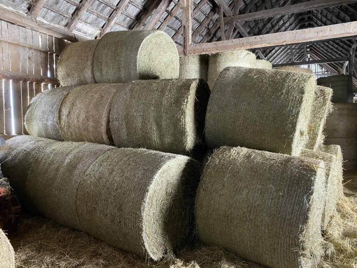 Heuballen 2. Schnitt 2