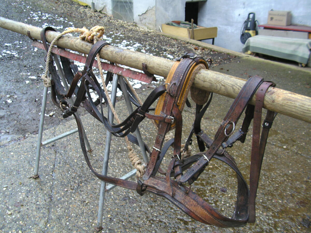 Reitsättel, Pferdegeschirr und Geschirrteile 3