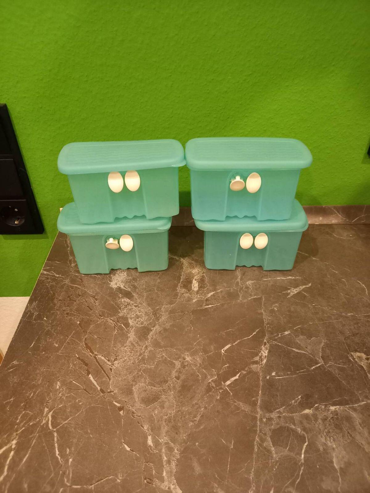 4 Tupperware Frische Dosen 2