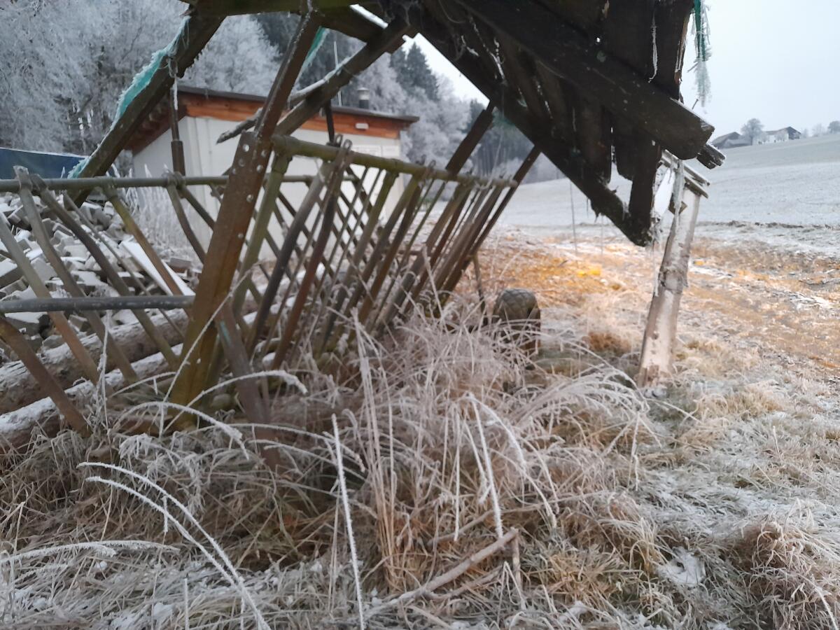 Heuraufe Weidefütterung 2 Rundballen 2