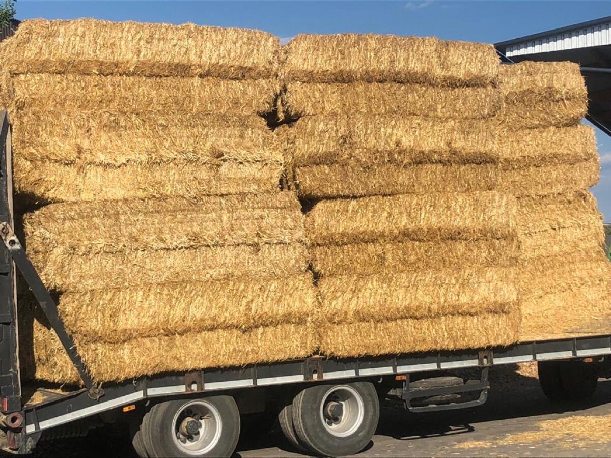 Verkaufe Weizenstroh 3