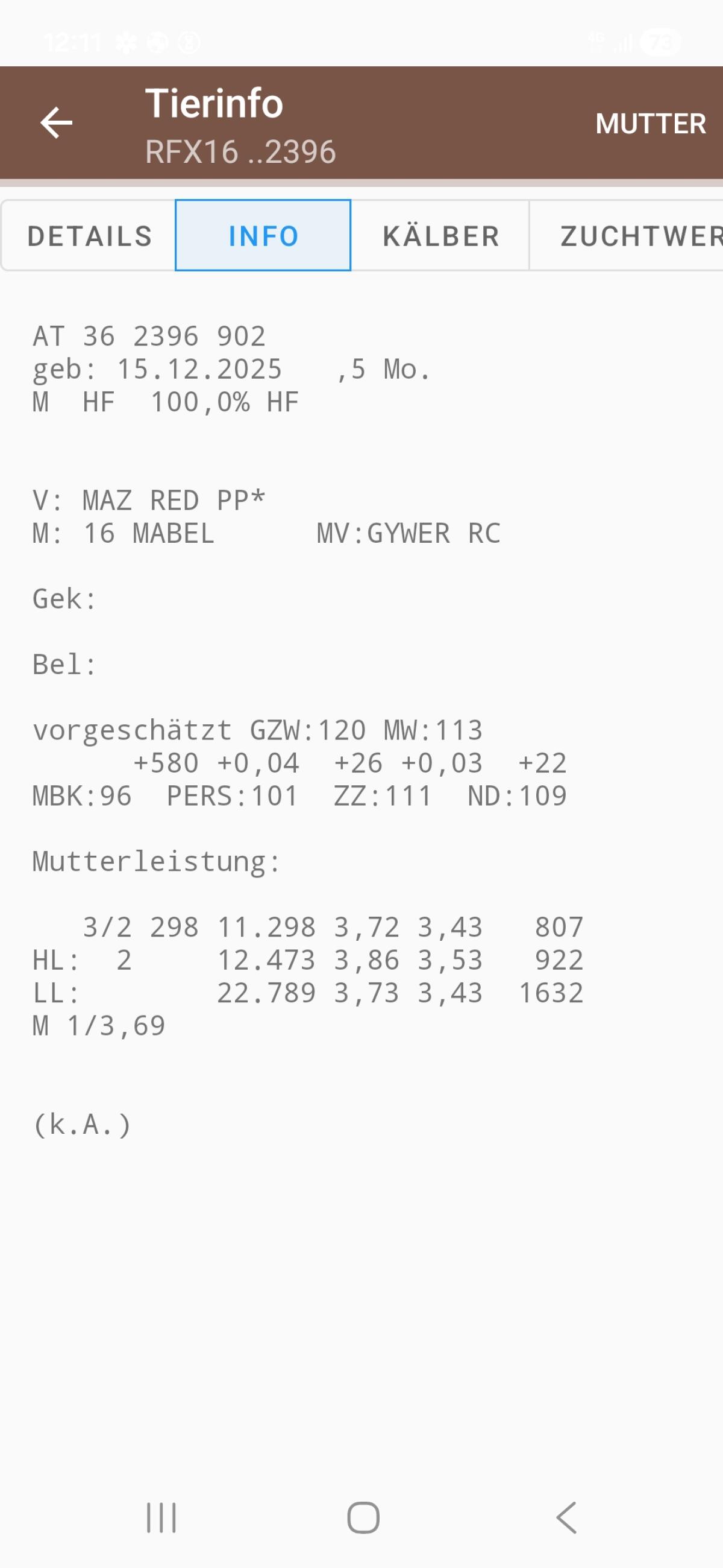 RF (Zucht)Stierkalb 3
