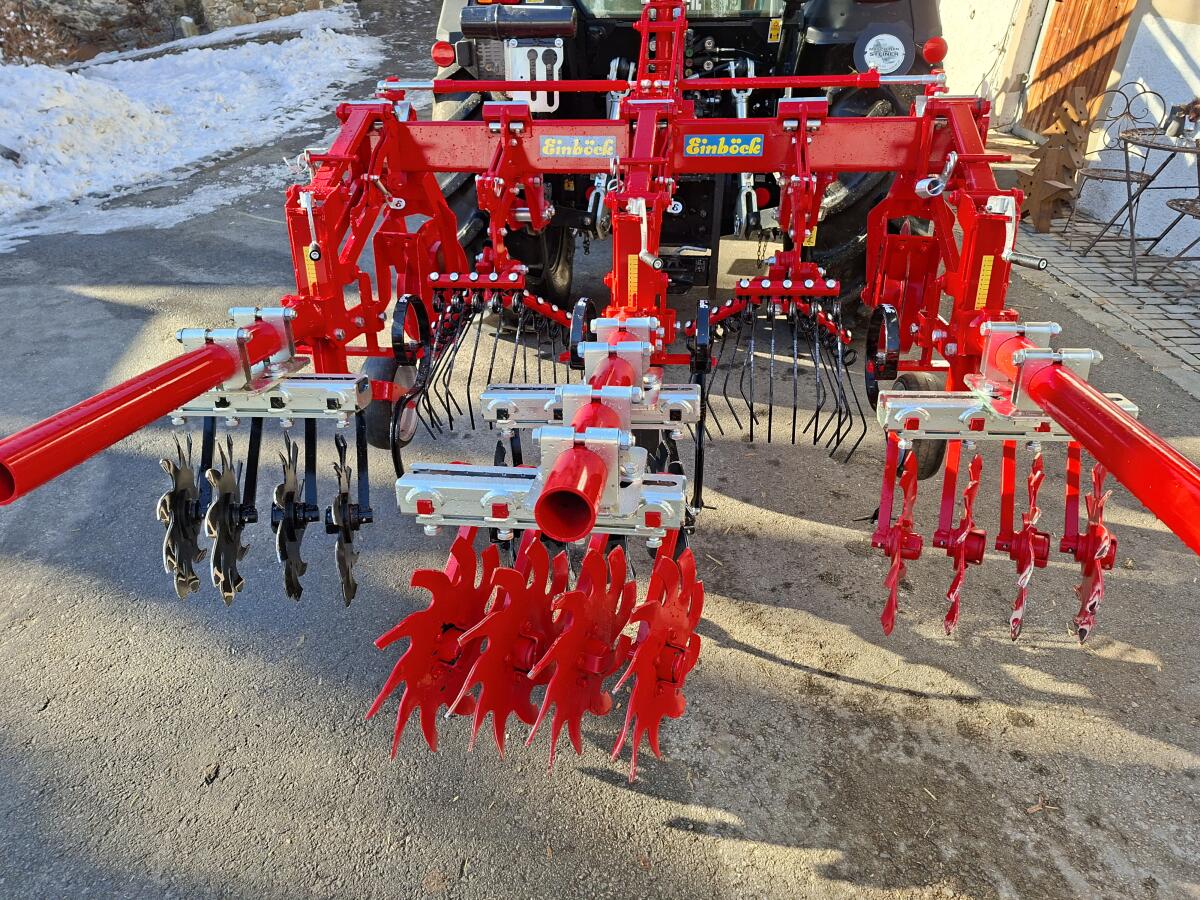 Einböck Rollsternhackgerät 2