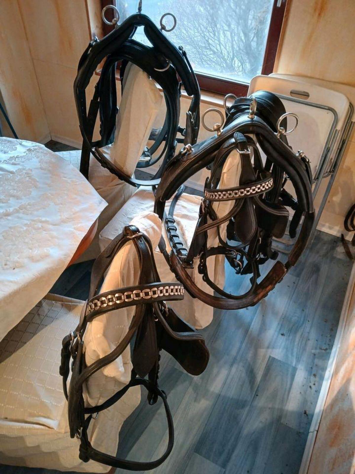 Zweispänner-Geschirr von Kiefer 3