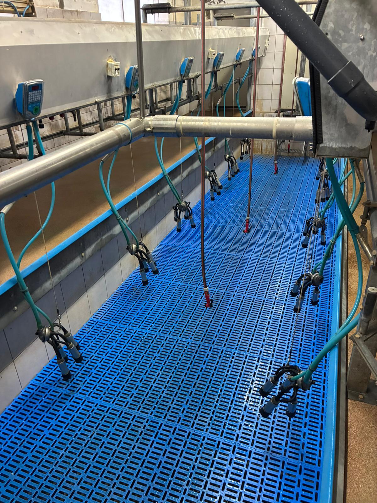 Melkstand Fullwood 2 x 6 Fischgräte 3