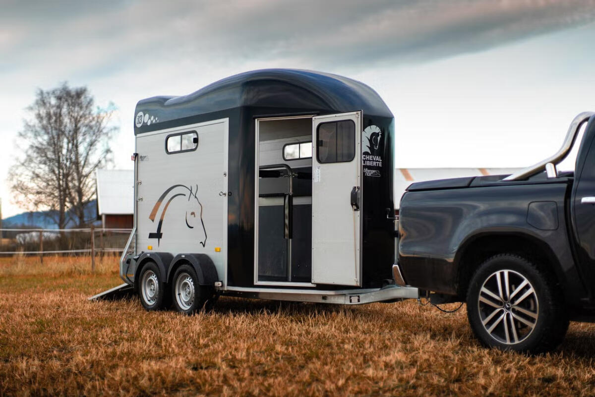 Cheval Liberté Gold 3 2