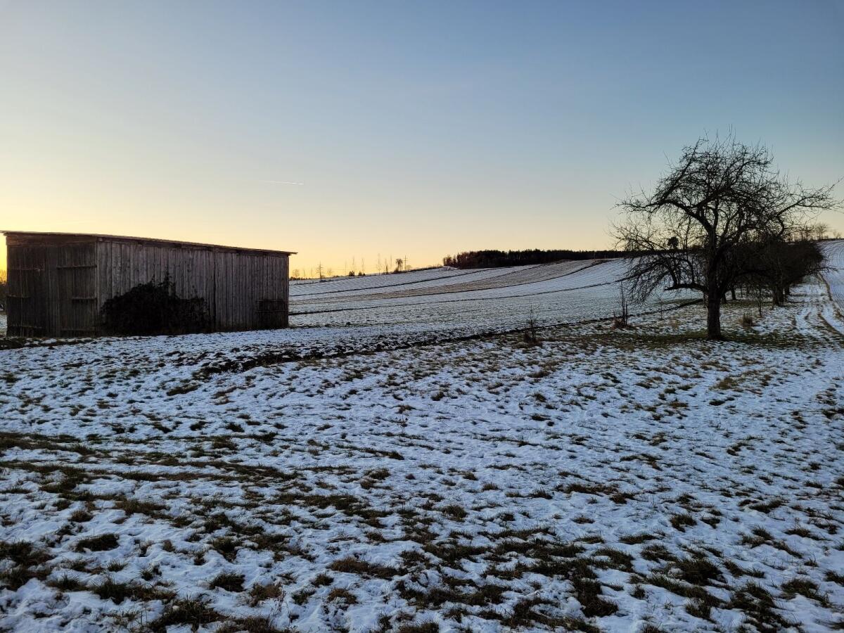 Pferdestall/Offenstall zu vermieten 3