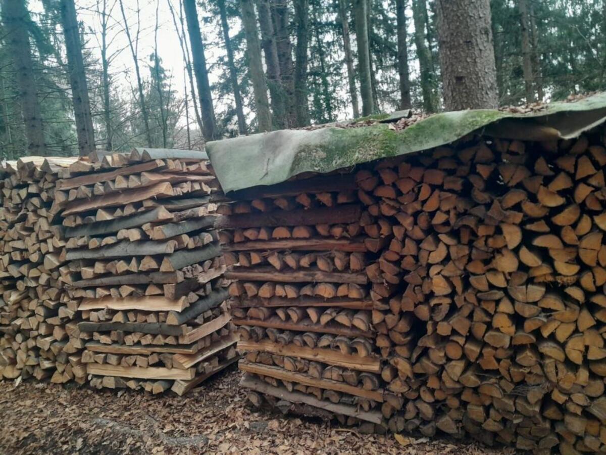 Brennholz 2