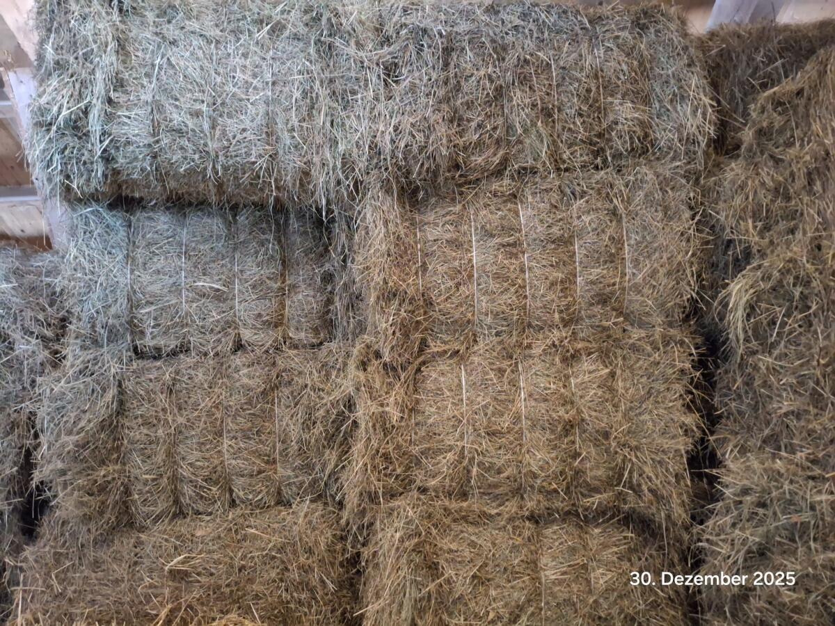 Bio Heu Pferdeheu 2