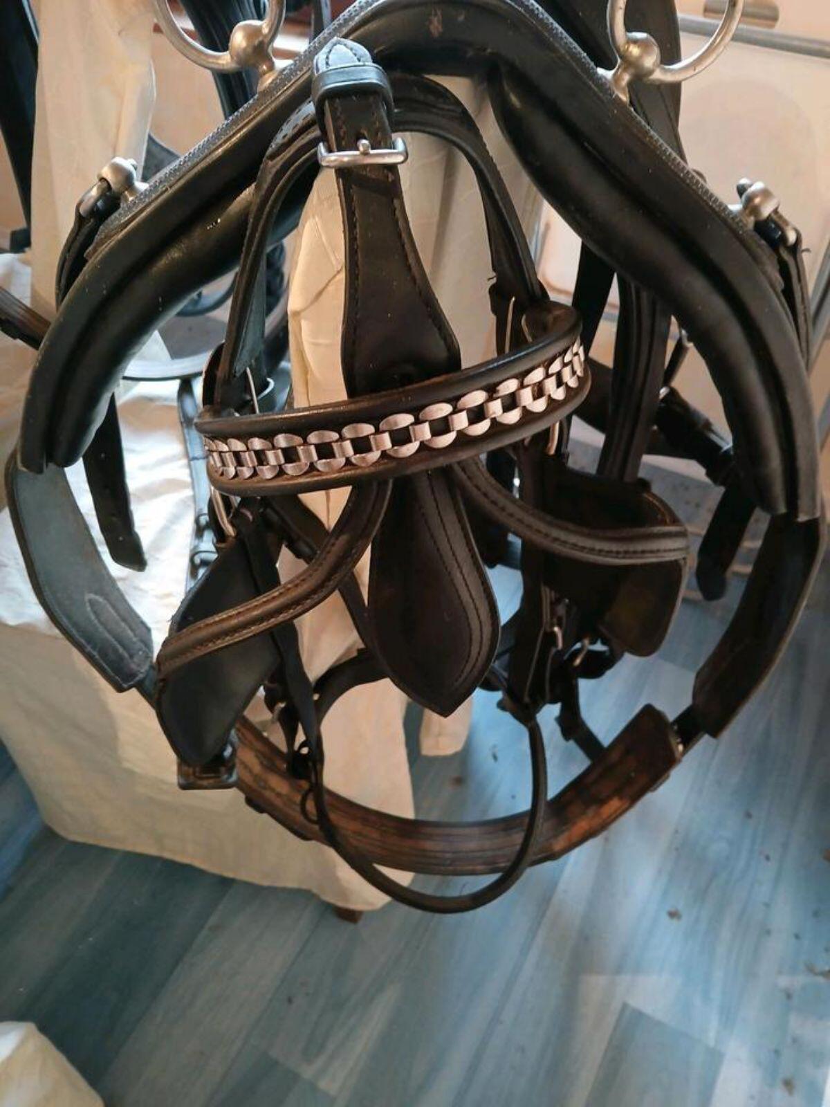 Zweispänner-Geschirr von Kiefer 2