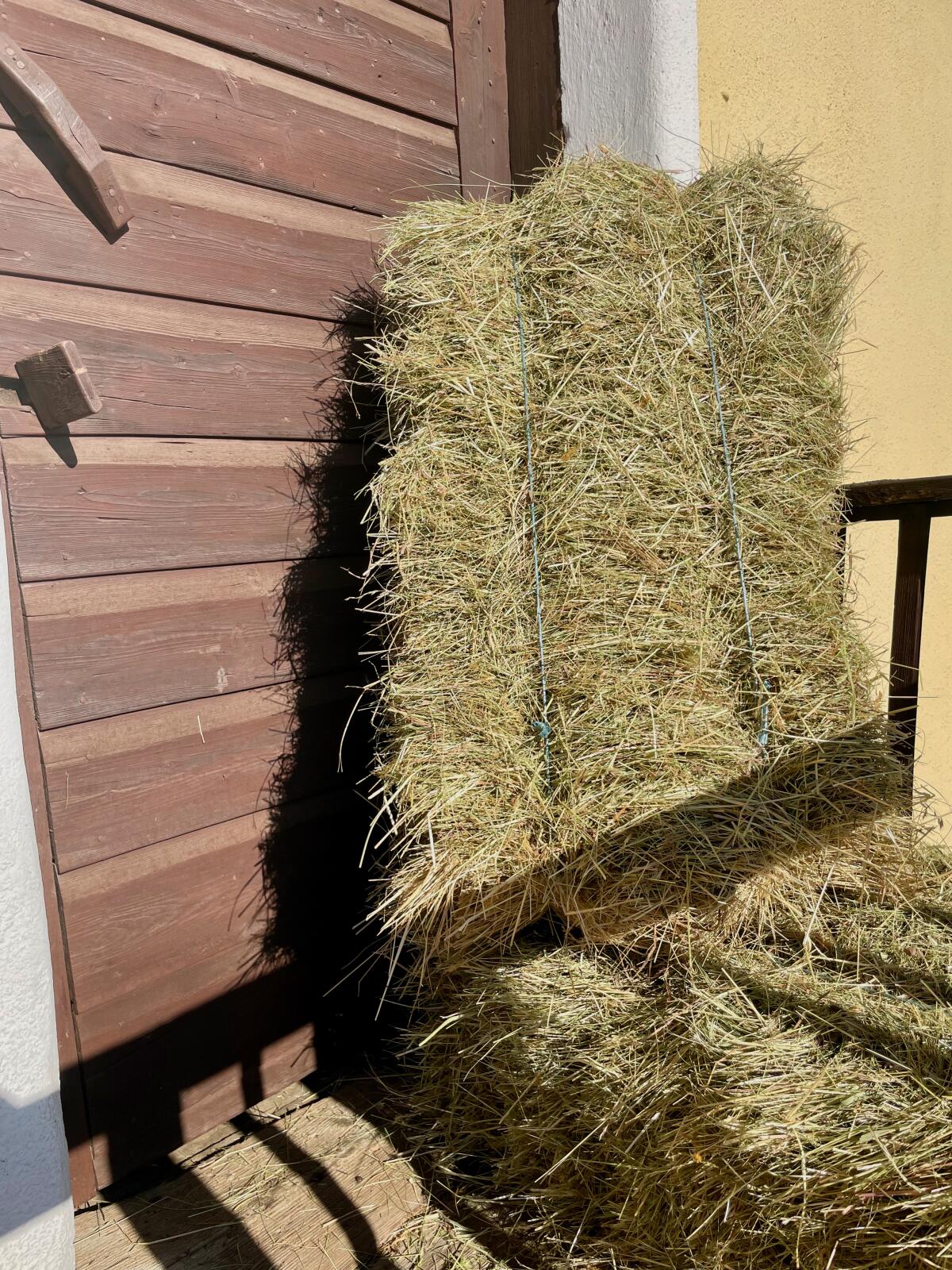 Bio Heu Kleinballen 2