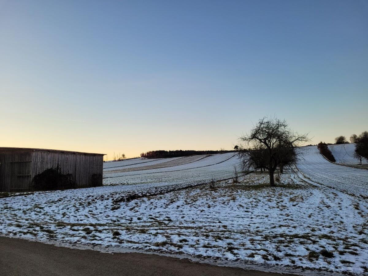Pferdestall/Offenstall zu vermieten 2