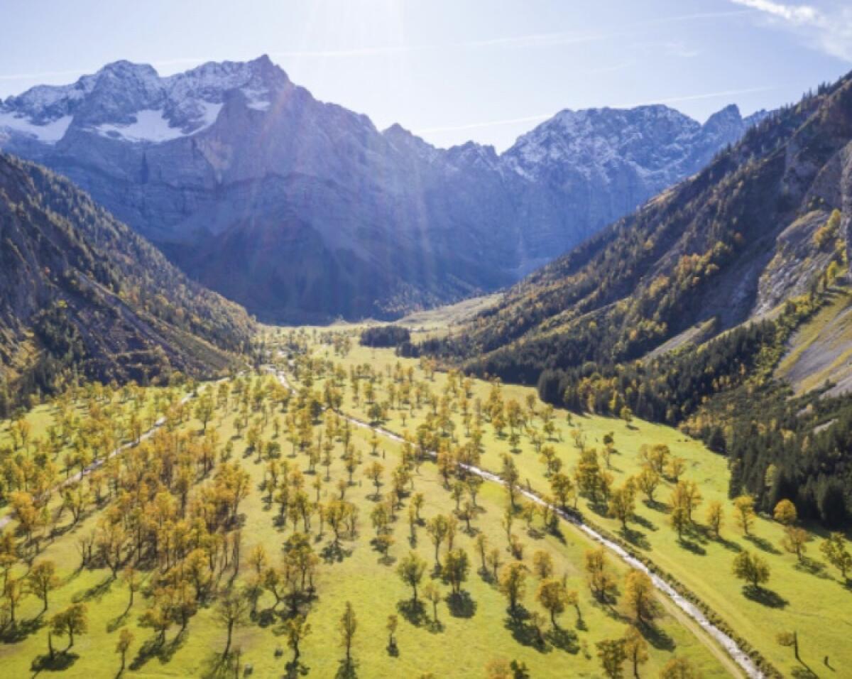 Almanteil zu verpachten 3