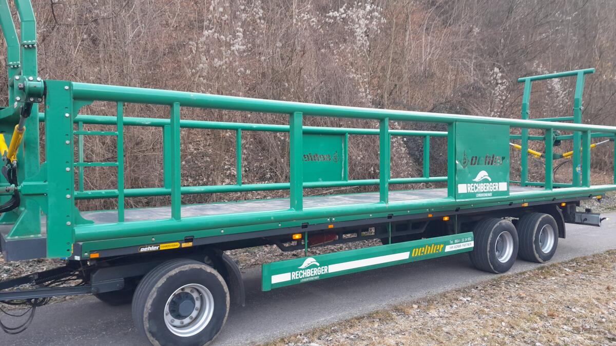 Ballenhänger Oehler 2