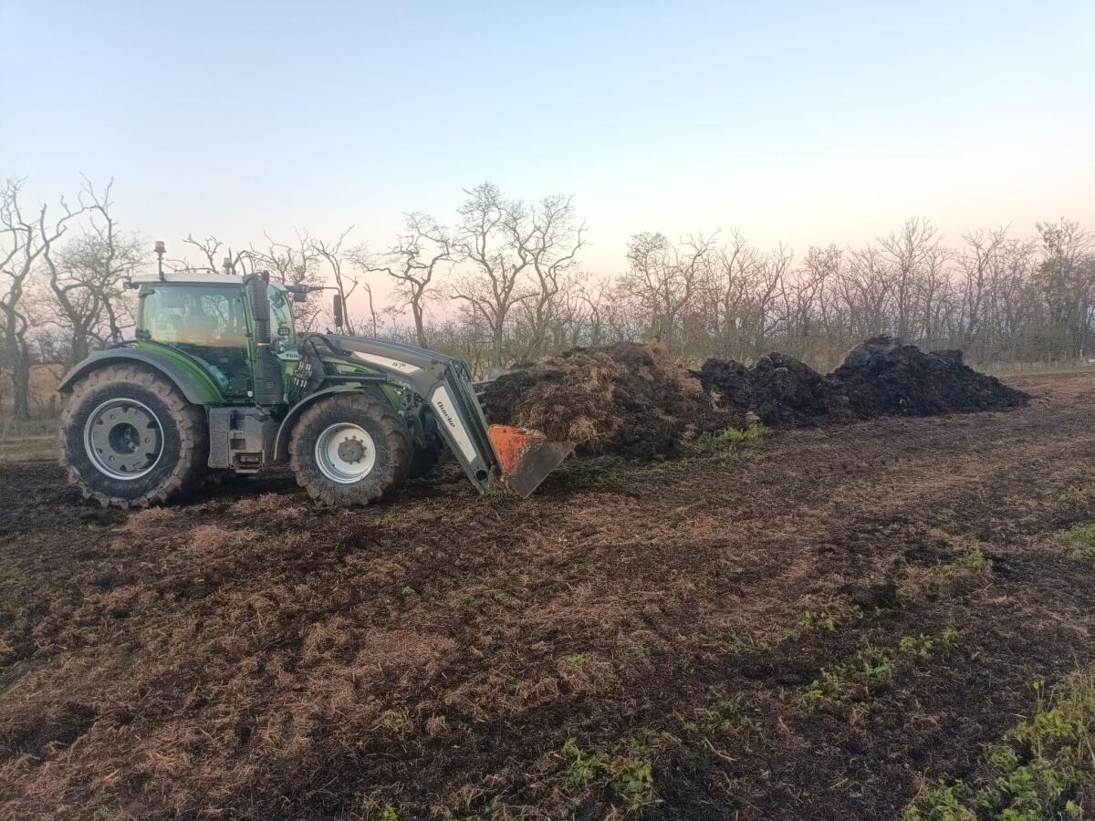 Pferdemist im Seewinkel abzugeben 3