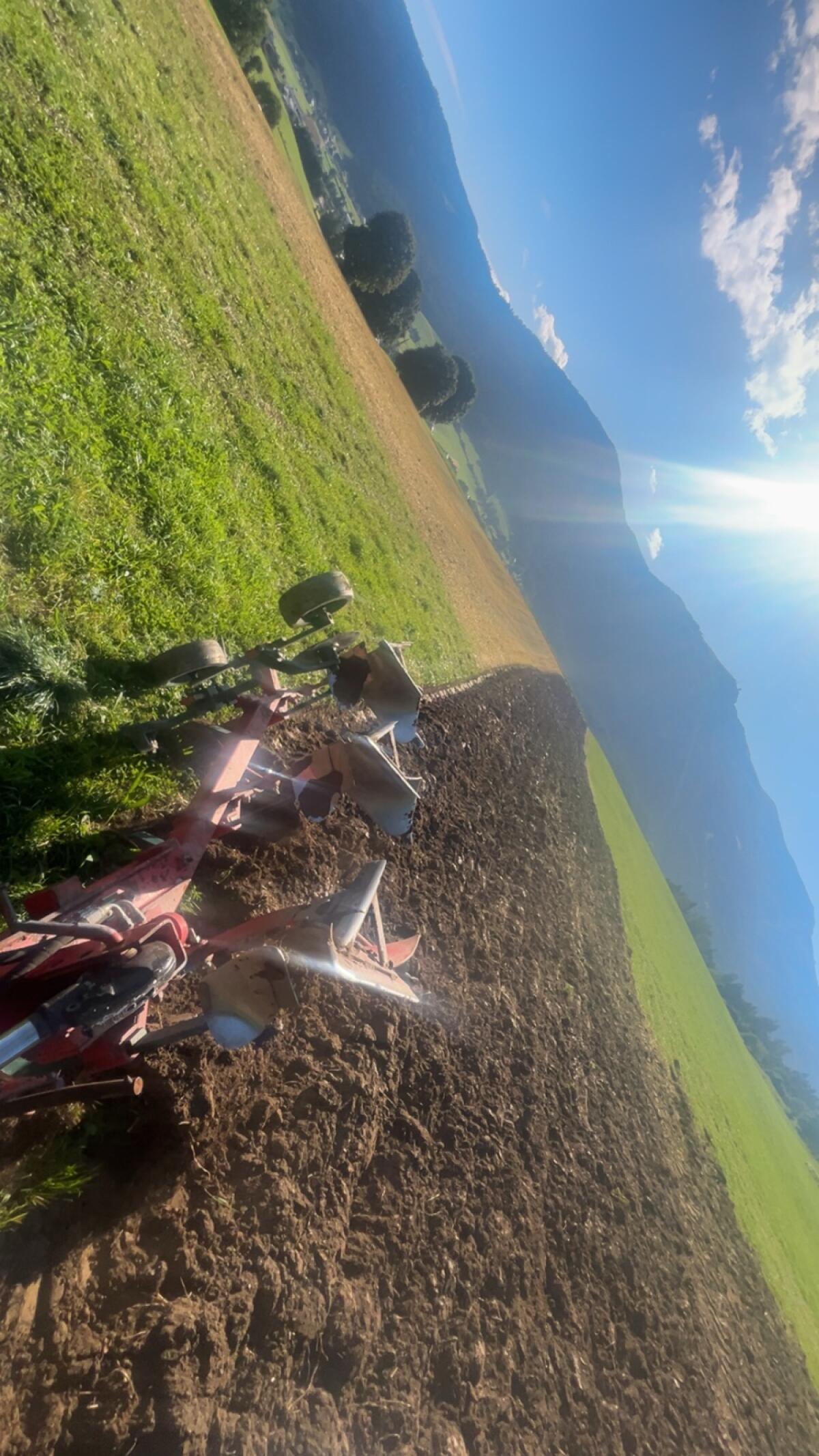 Vogel und Noot Dreischar-Pflug 2