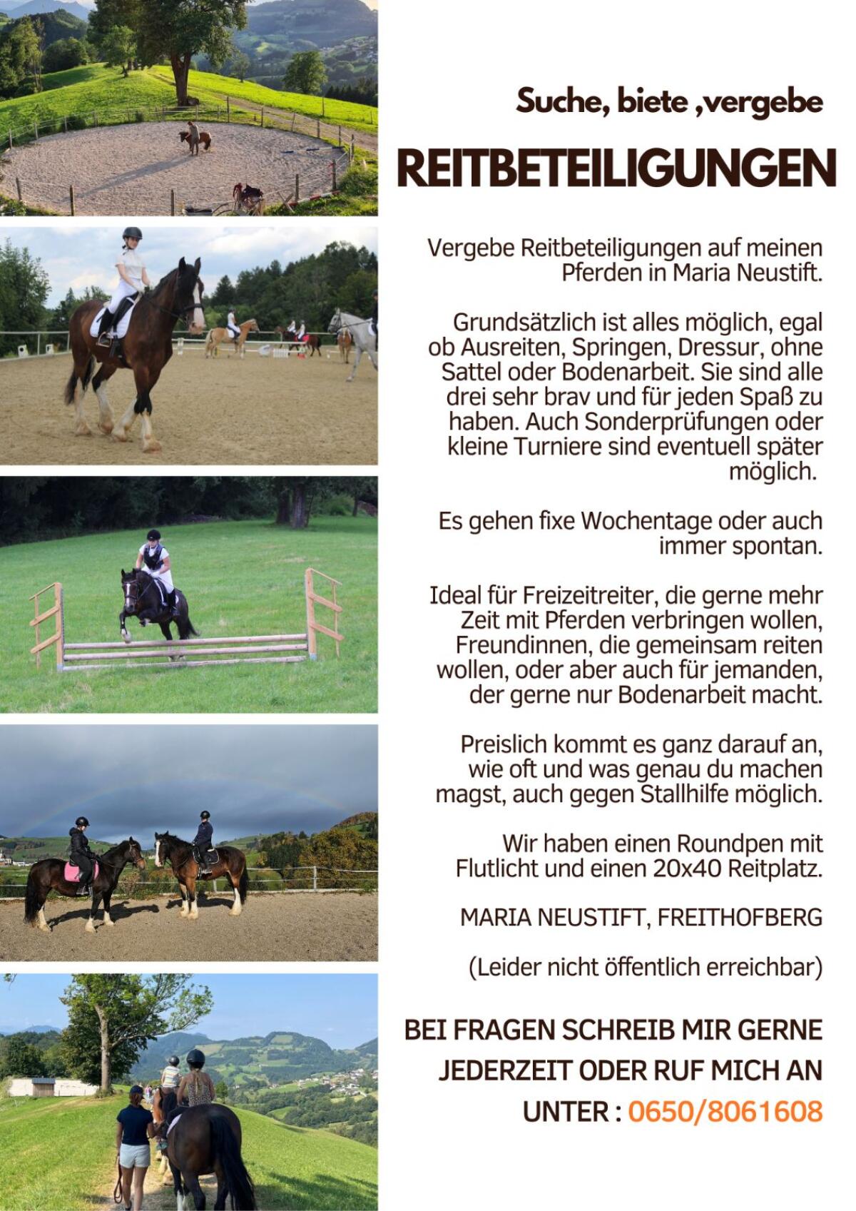 Reitbeteiligung,  MitreiterIn 2