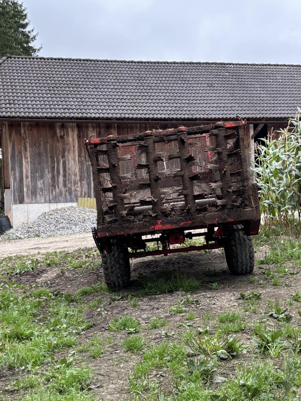 Kirchner Mistreuer 3