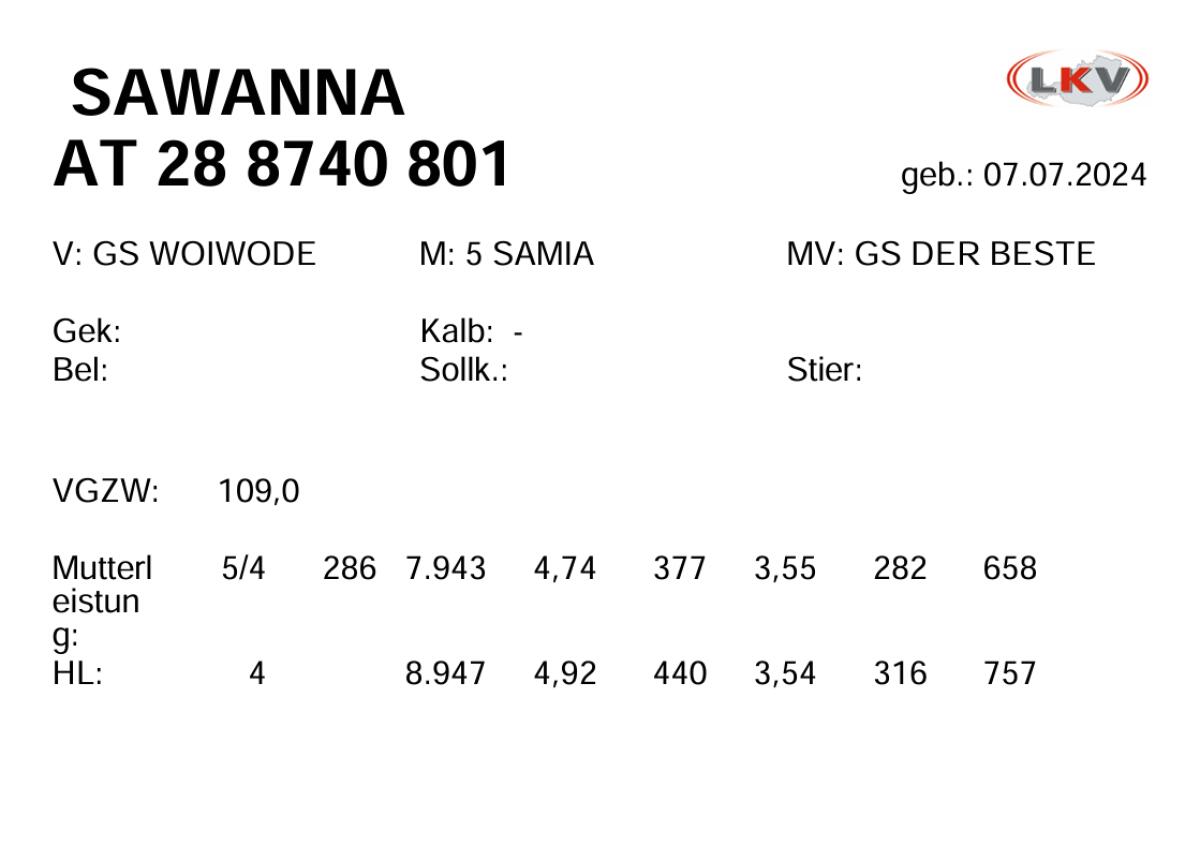 Biete Kuh und Kalbin zum Kauf 3