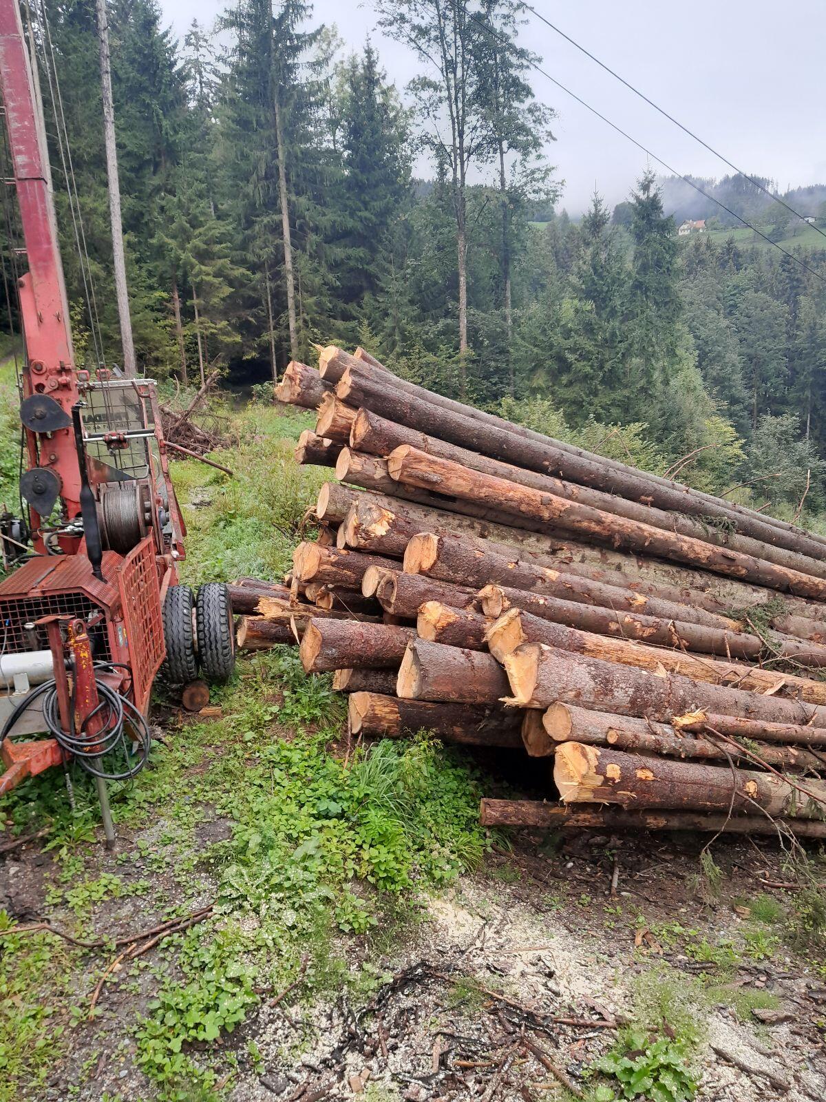 Seilbahn für Durchforsten 1