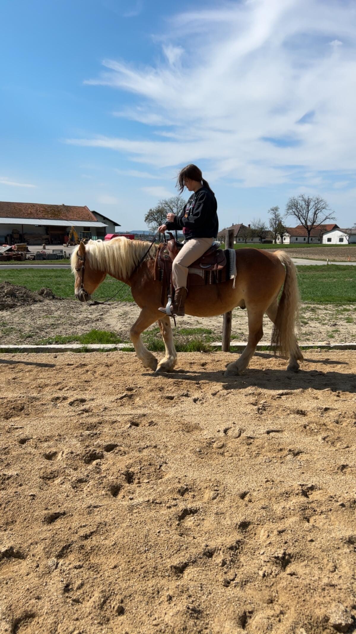 Reitunterricht/Bodenarbeitseinheiten 1